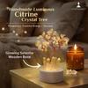 Chitshakti Citrine Luminous Crystal Tree with Wooden Base | Positive Energy Items for Home