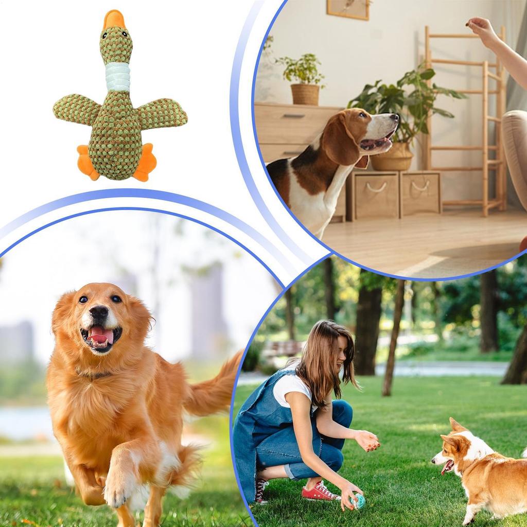 Hundespielzeug Quietschend Interaktiv Haustierbedarf Knisternd Hunde Welpen Kauspielzeug Für Mittlere Kleine Rassen Zuhause Innen Außen Täglich