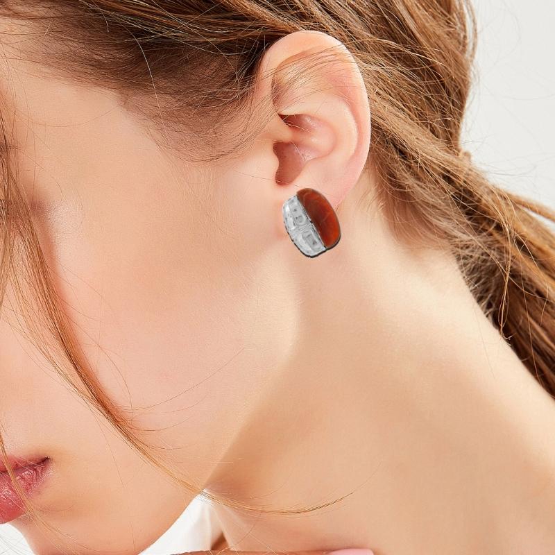 Vintage Styles Brown Amber Resin Splices Earrings for Women Autumn And Winter Sturdy Alloy Jewelry Trend Casual Wear