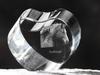 Freiberger – A photo of a horse in crystal, a crystal heart | Art-Dog
