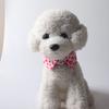 Pet Supplies New Pet Supplies Flower Accessories Collar Cat Collar Bell Cat Strap