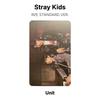 Stray Kids IN STANDARDVERSION. Offizielle Fotokarte