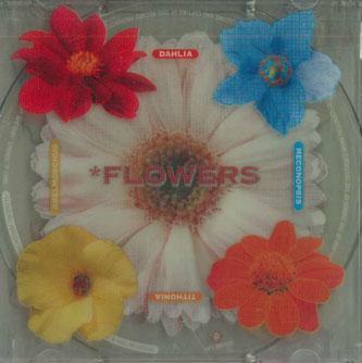 

CD HIROSHI FUJIWARA - Flowers APE0001 APEMOOD Japan Japanese Pop/Rock Used