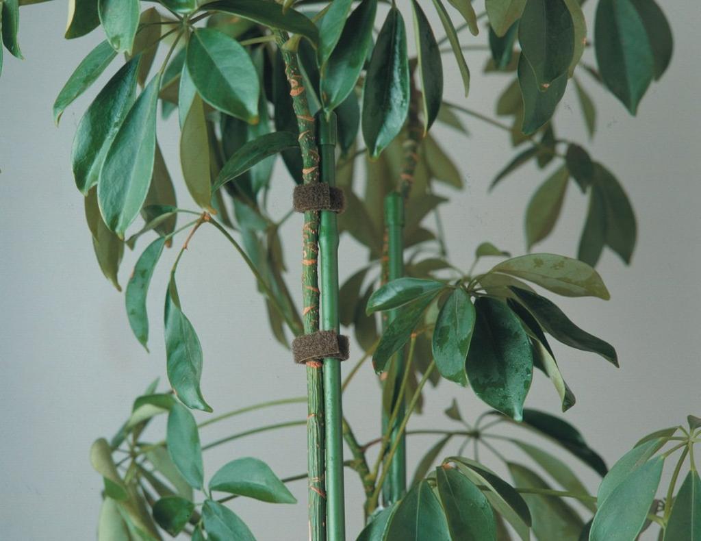 Trusco MKT-1015BK Magic Band Fastening Tape, Double-Sided, 0.4 inches (10 mm) x 4.9 ft. (1.5 m), Black