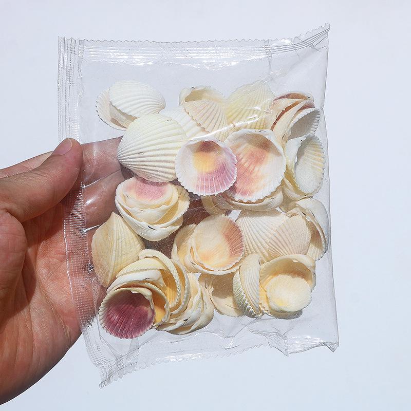 Handmade Natural Seashell Conch & Starfish Frame for DIY Fish Tank or Landscaping