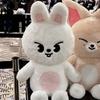 50Cm New Skzoo Cartoon Plush Doll Sitting Doll Teddy Doll Stray Kids Cartoon Doll Peripheral Birthday Gift