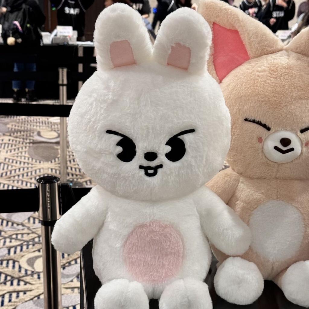 50Cm New Skzoo Cartoon Plush Doll Sitting Doll Teddy Doll Stray Kids Cartoon Doll Peripheral Birthday Gift