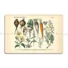 Vegetable Print Metal Plaque Poster Mural Printed Pub Garage Designing Tin Sign Poster