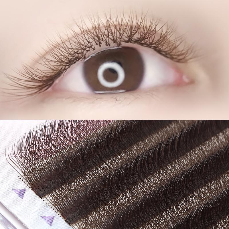 Deep Brown Soft 4-Leaf Clover YY Grafted Eyelashes