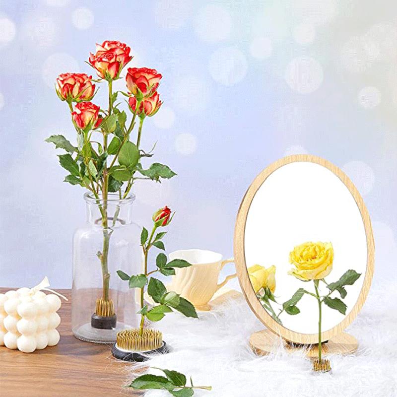 Flower Arrangement Pin Holder Round Frog Flower Fixed Tools for Plant Decoration for Home Garden Courtyard