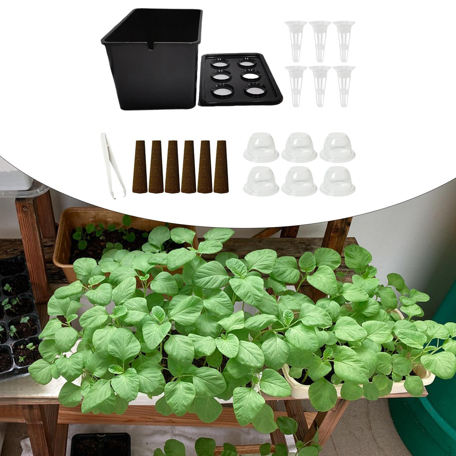 

Комплект для гидропонной системы выращивания, система внутреннего садоводства, кашпо для рынка, отеля, чёрный