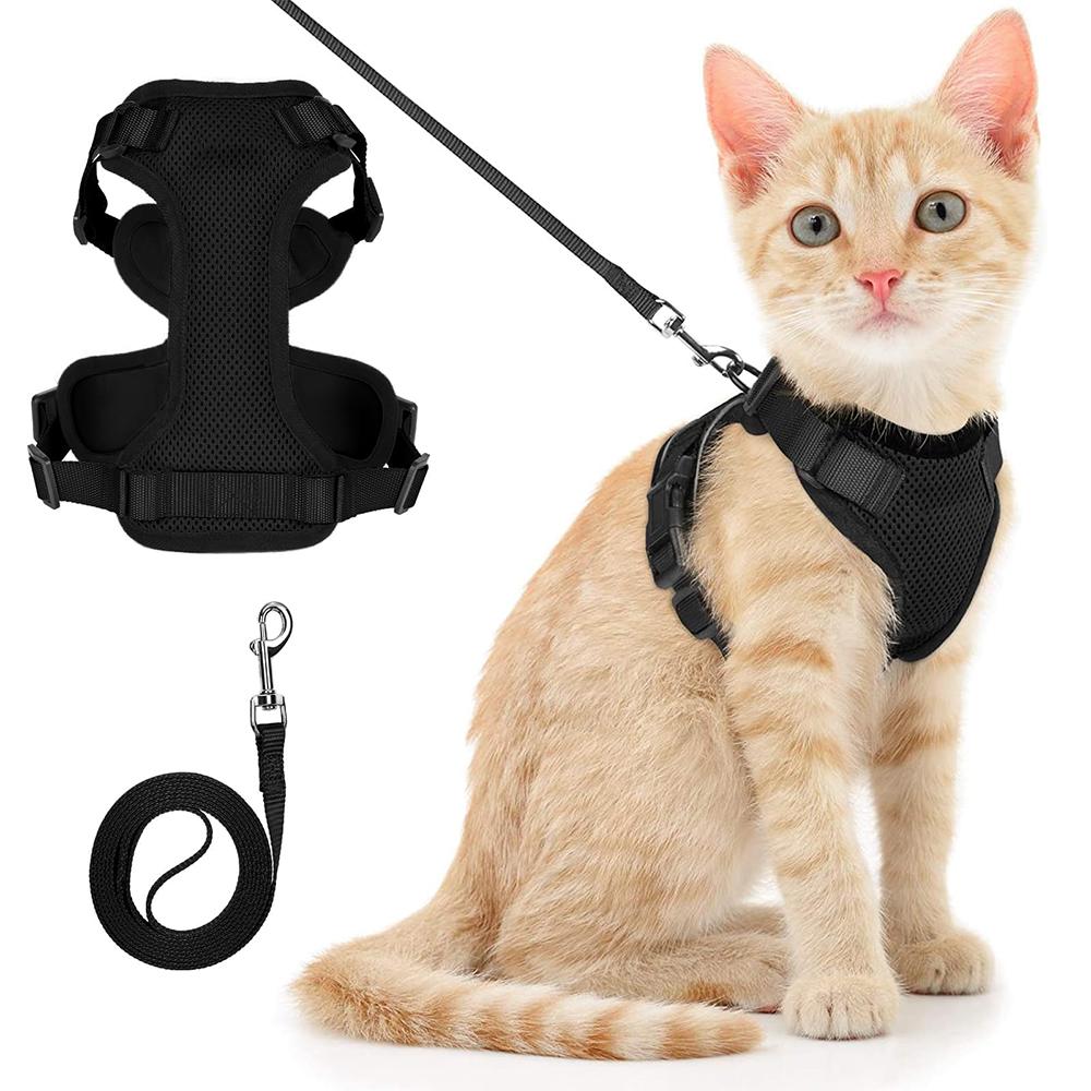 Cat Puppy Outdoor Walking Supplies Fashion Pet Harness And Leash Set For Small Dogs Cats Breathable Durable Kitten Harnesses