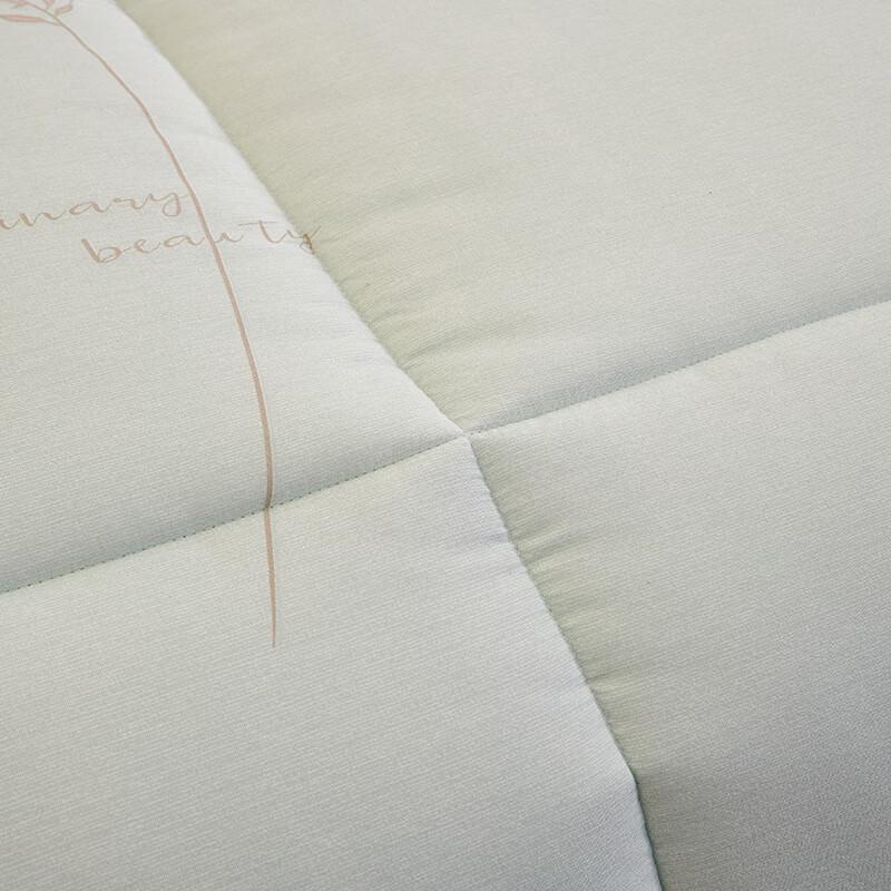 YEKEROLAN Elegant Floral Brushed Fiber Winter Quilt