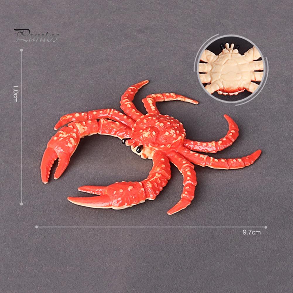 Puntos Kids Toy Simulation Hermit Crab Marine Animal PVC Model Desktop Decor Education