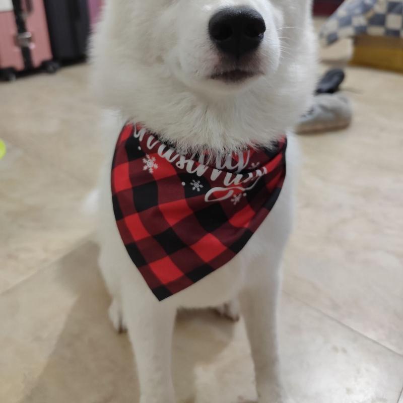 Plaid Pet Saliva Towel Santa Snowman Cat Dog Scarf Christmas Pet Triangle Scarf