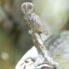 Eule (Klein) Hergestellt in England Tierkunst-Figuren-Sammlung