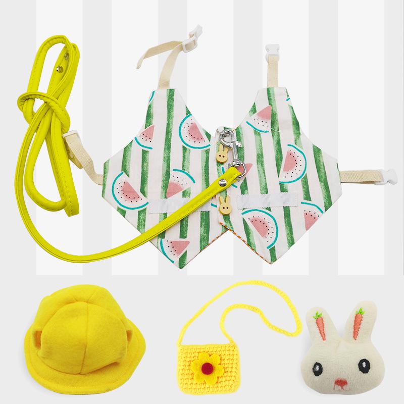Cute Japanese Korean Style Pet Clothes & Leash for Rabbits and Cats