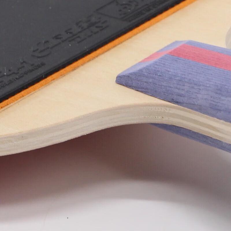 DHS 2-Star 7-Ply Wood Table Tennis Racket Set