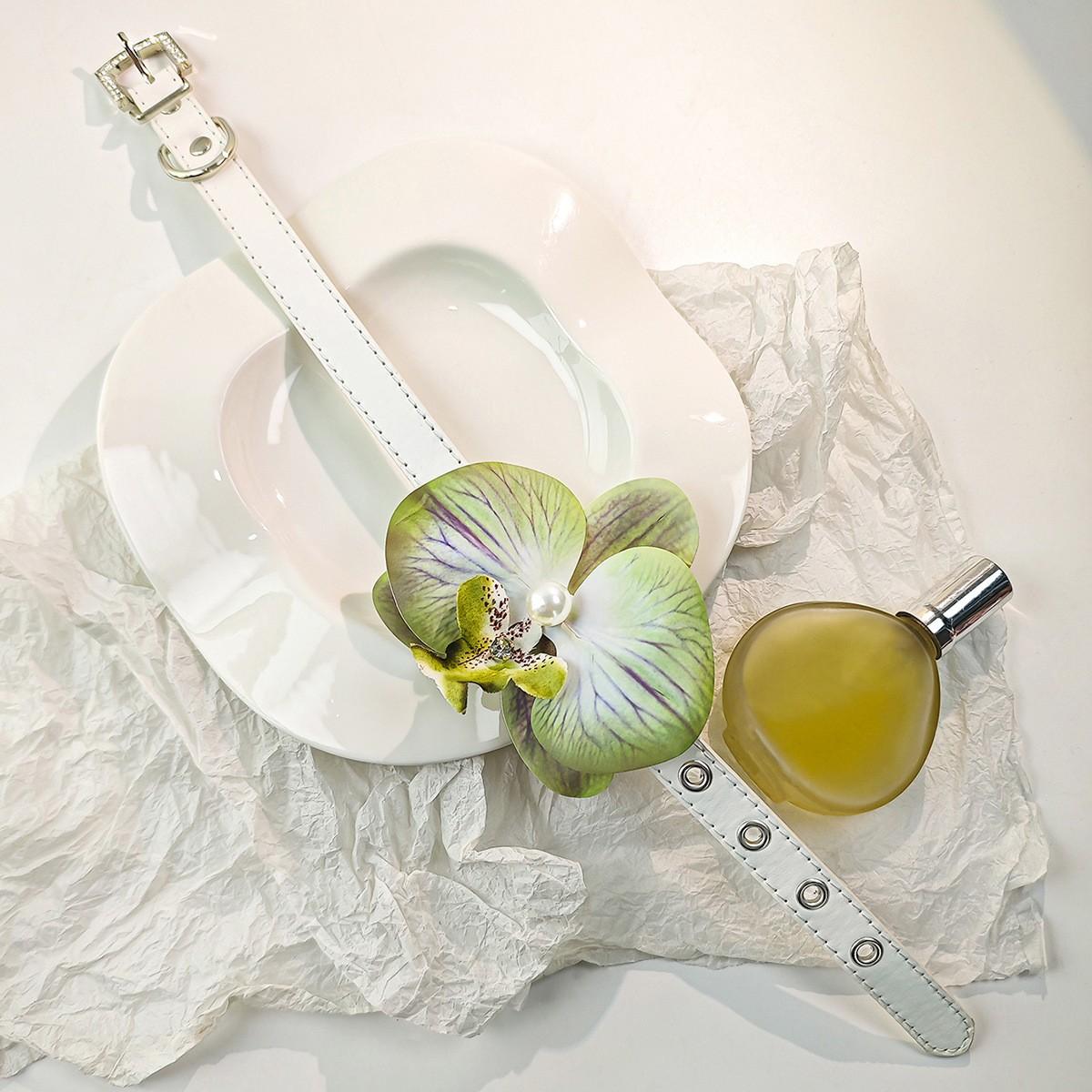 Супер Бессмертный Мори Маленький Свежий Имитация Фаленопсиса Ожерелье-Воротник, Сладкий И Чистый Стиль Нежный Трехмерный Цветок Цепочка на Ключицы Женская