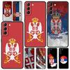 Serbien Flagge Abzeichen Handyhülle Für Samsung Galaxy S25 Edge S24 S23 S22 S21 Ultra S20 FE 5G S10 S10E S9 Plus Weiche TPU Hülle