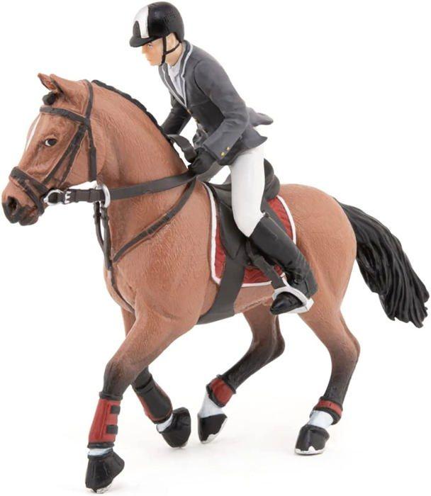 Cheval de concours et son cavalier