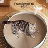 Stable Cat Scratch Board Round Teasing Cat Stick Interactive Cat Turntable Toy  Indoor Play