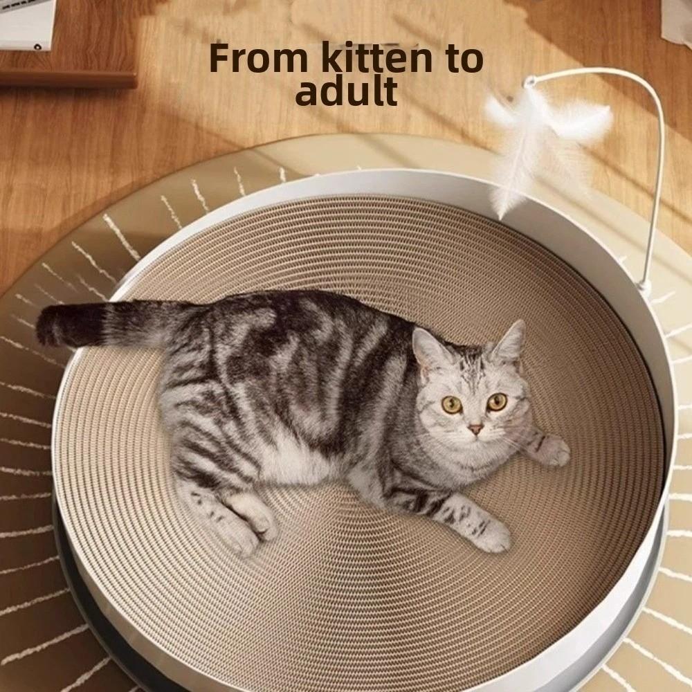 Stable Cat Scratch Board Round Teasing Cat Stick Interactive Cat Turntable Toy  Indoor Play