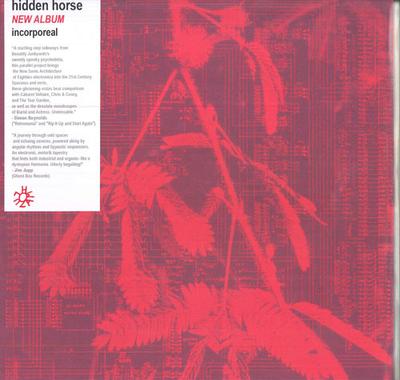 LP Record HIDDEN HORSE - Incorporeal ZAM035 Holuzam 2023 Poland Dance & Electronica