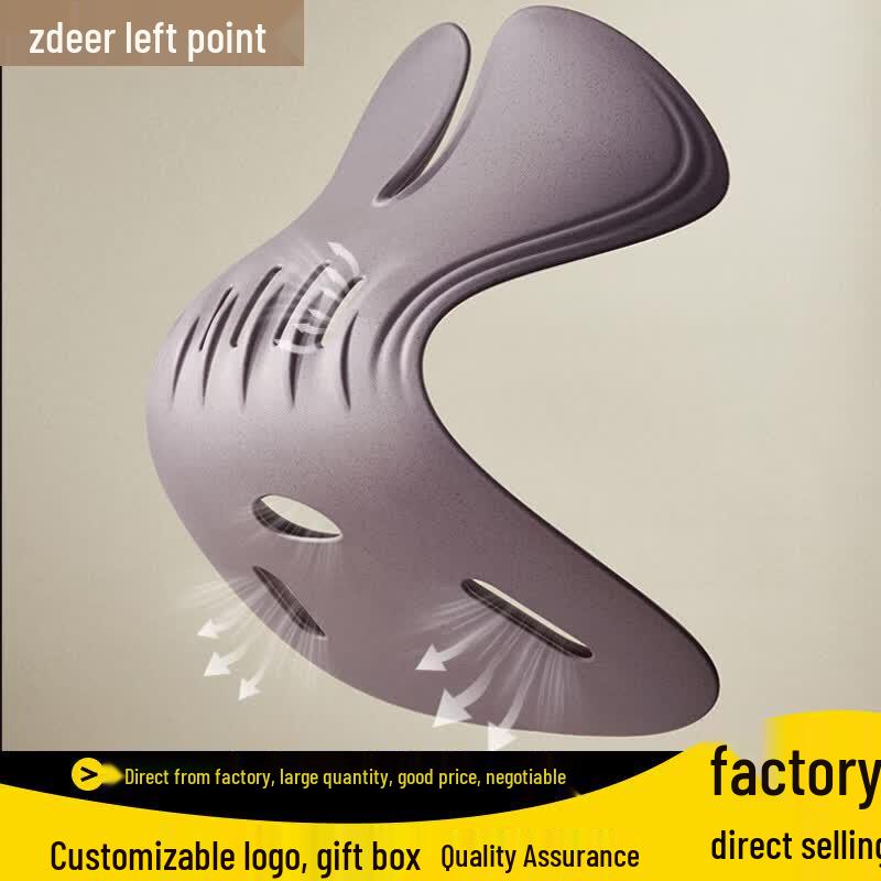 Zuodian Lumbar Support Seat Cushion CN plug (adapter included)