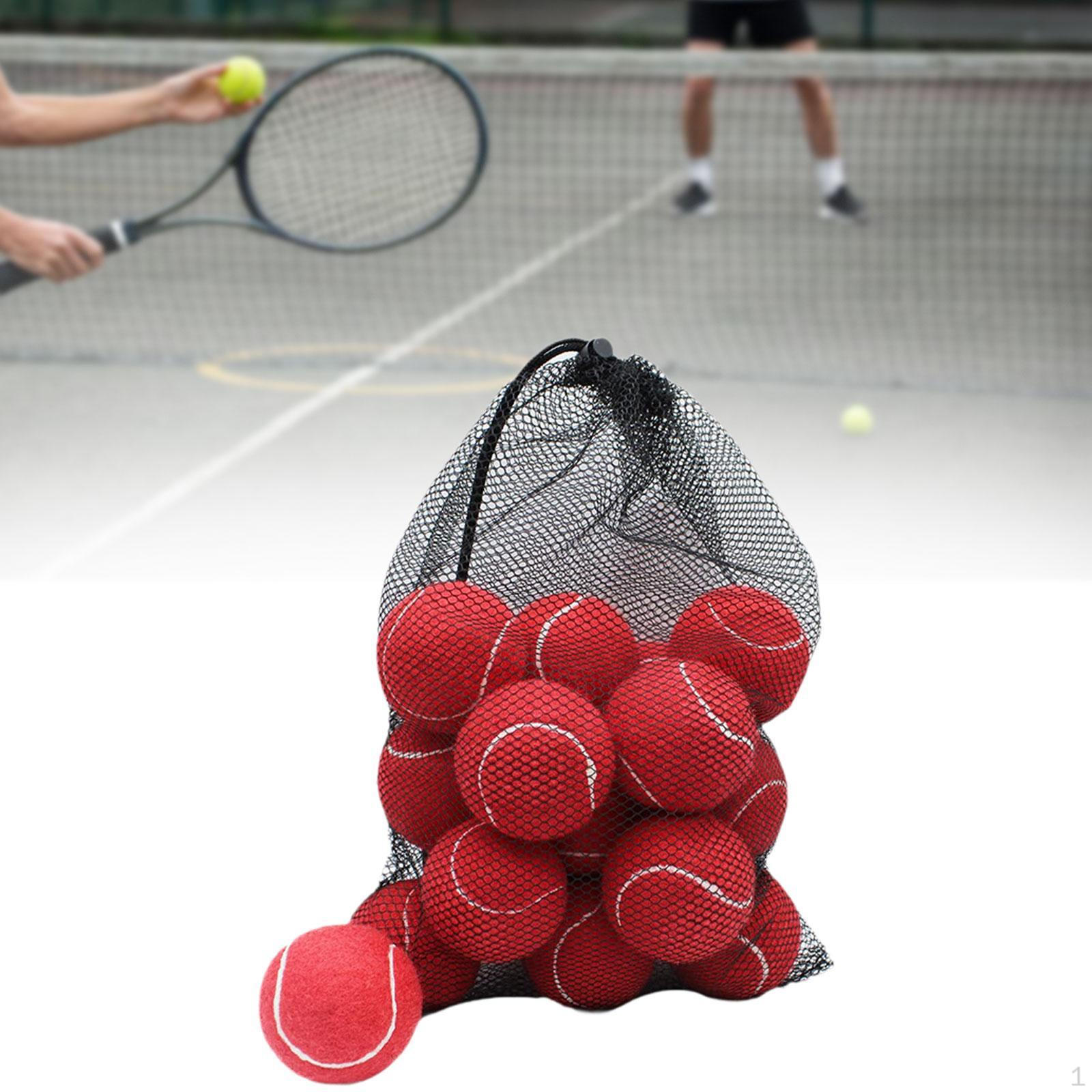 

Теннисные мячи для домашних животных и дрессировки Red