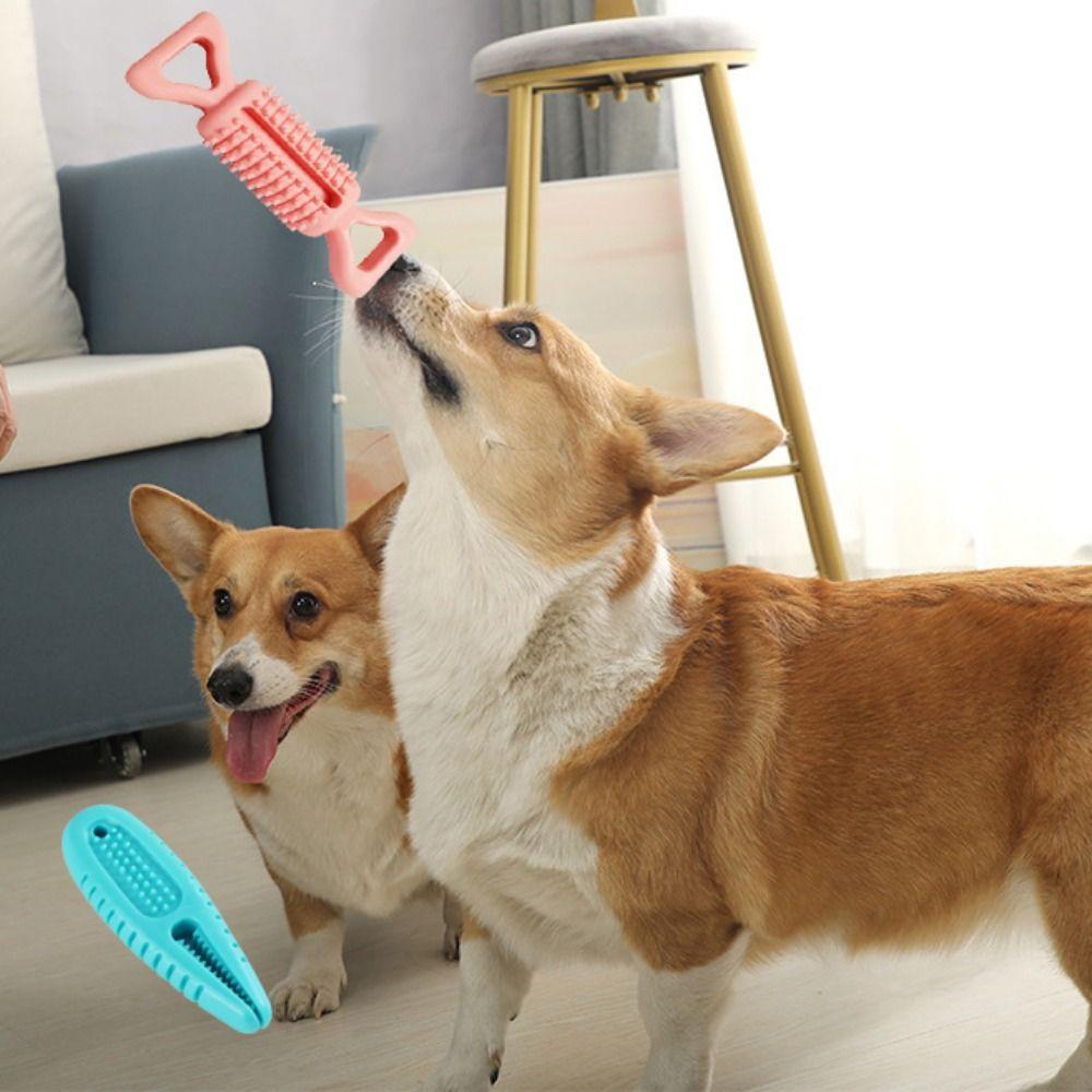 

TPR Dog Leakage Food Ball Bite Resistant Puppy Chew Toys Ball Relieve Boredom blue-C