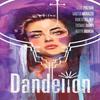 Dandelion by Sabir Pirzada Paperback Book 9781534397545