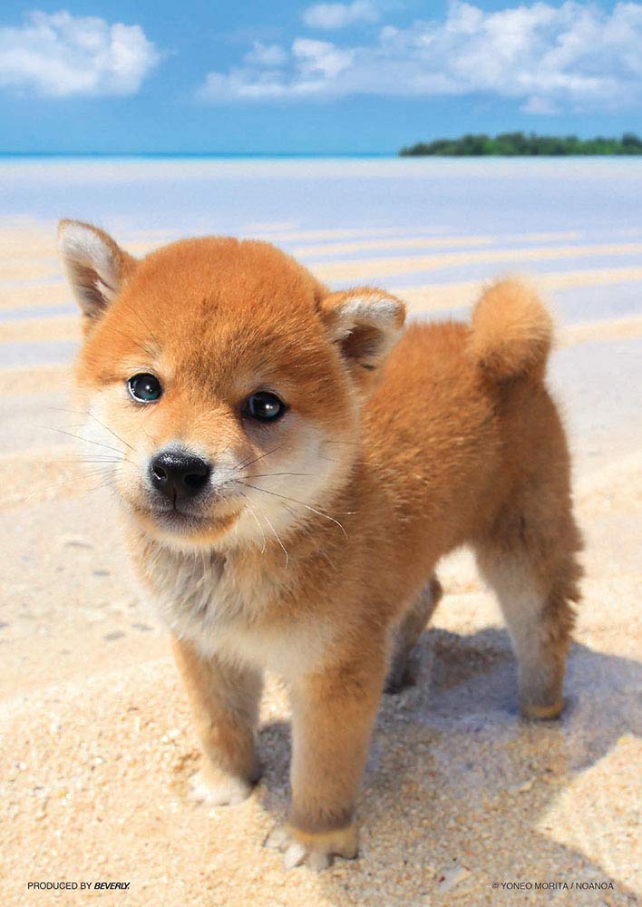 

Beverly (BEVERLY) [Made in Japan] Beverly 108-Piece Jigsaw Puzzle My Sea (18.2 x 25.7 cm)