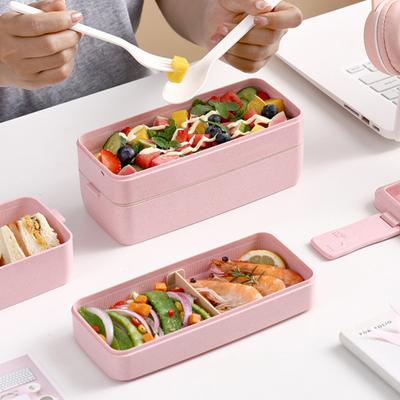 750ML/1000ML Lunch Box Lightweight Easy To Carry Two/Three Layers Bento Box for Picnic School Office