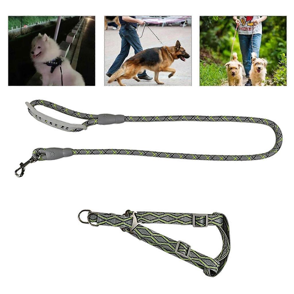 Durable Large Dog Harness Leash Set for Small Dogs No Pull Adjustable and Breathable Puppies Vest  L