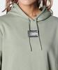 UA RIVAL FLEECE OVERSIZED PULL OVER HOODIE Grove Green MD [Under Armour]