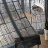 Vista Finestra Boschi Foresta Alberi Tende Voile Trasparenti Per Camera da Letto Soggiorno Cucina Decorazione Lussuose Tende in Chiffon Tulle Organza
