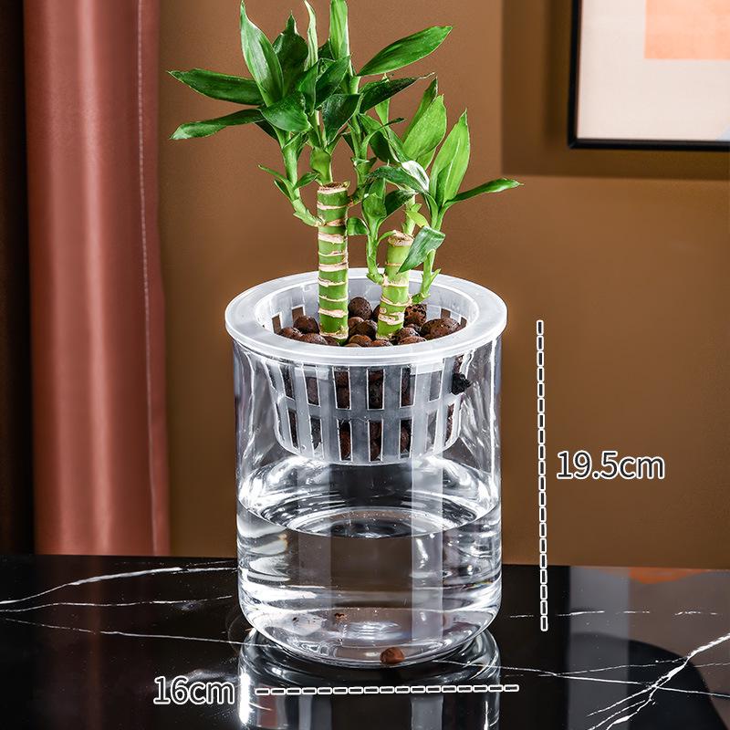 Small Hydroponic Vase for Phalaenopsis & Succulents - Desktop Decoration