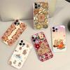 Cartoon Capybara Transparent Soft Phone Case For IPhone 15 12 14 16 17 13 Plus 11 Pro Max 13 Pro