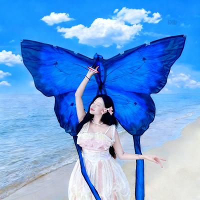 Weifang Kids' Butterfly Kite - Easy-to-Fly, Light Breeze, Perfect for Photography and Park Fun