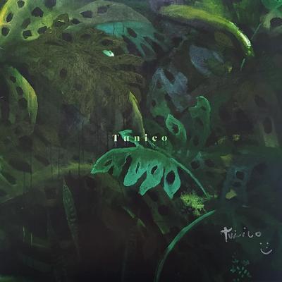 LP-Schallplatte TUNICO - Tunico FARO236LP Far Out Records 2023 UK Jazz