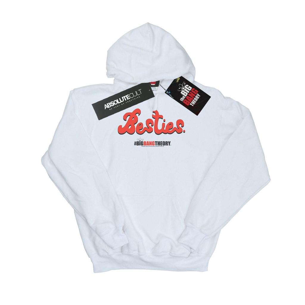 The Big Bang Theory Boys Besties Text Hoodie