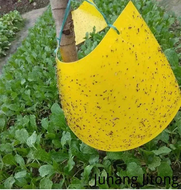 Double-sided glue trap for insects, water repellent, 10 pieces.