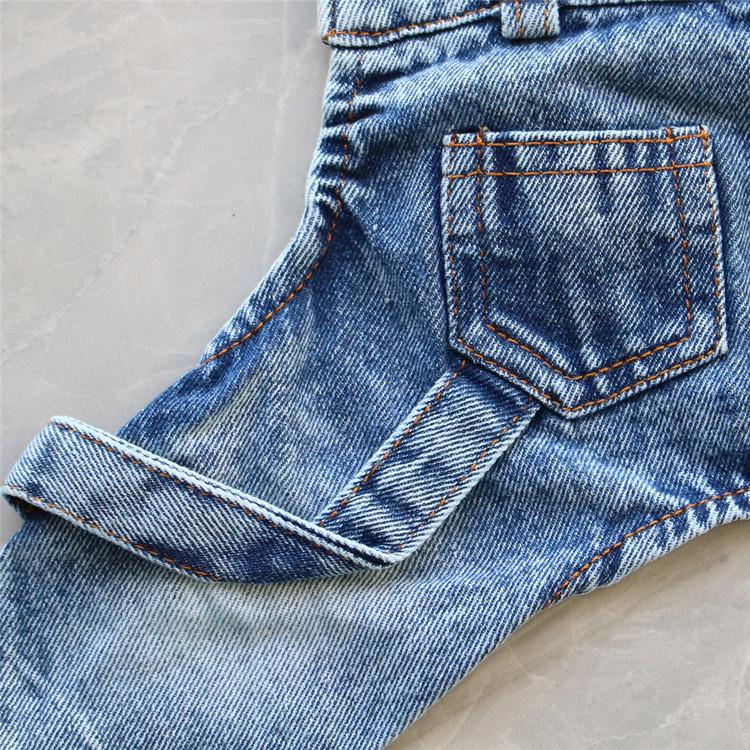 Bichon Teddy Denim Overalls: All-Season Four-Legged Outfit for Small Dogs