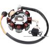 Off-road ATV/Beach Buggy Parts Coil Magneto Stator for CG 125-250cc Motorcycles