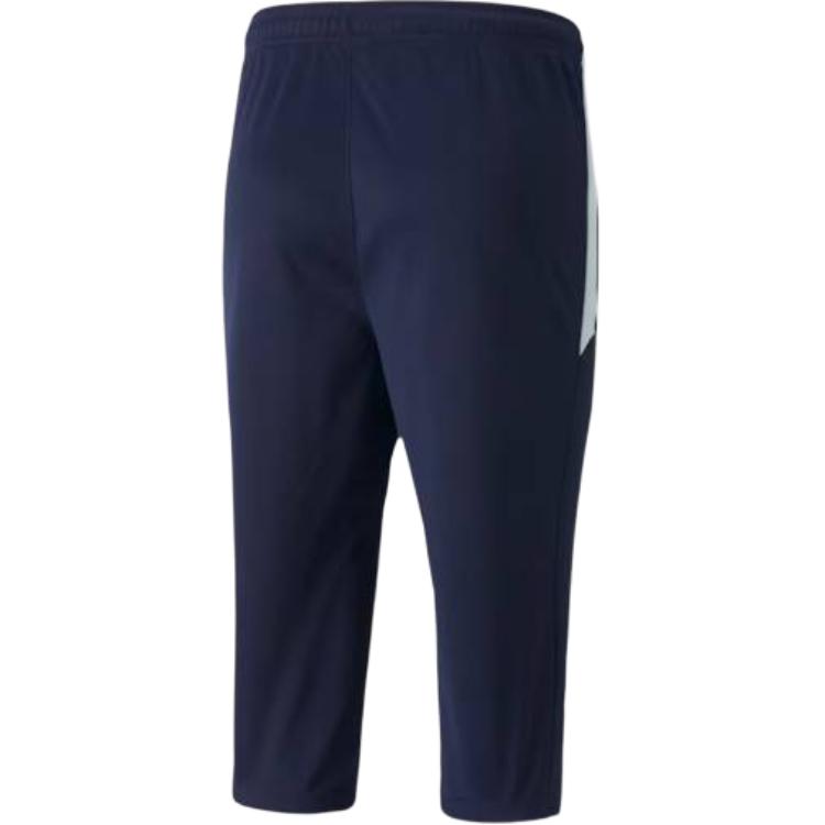 Puma Logo Print Slim Fit Seven-Point Sports Shorts Men Shorts Blue 657271-06