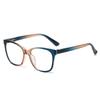 Fashionable and Personalized Contrasting Presbyopia Glasses New Large Frame Glasses Blue Light Blocking Eye Protection