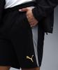 TR Shorts [Puma] 78622623_MCFC w/pockets Black/Cast Iron_M