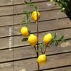 1pc-European Style Artificial Lemon Branch Simulation Lemon Fruit Green Plants Home Decoration Flower Arrangement for Hotels