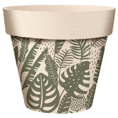 [A2063] - Green 'Tropical' Bamboo Planter (monstera) -  14x12cm